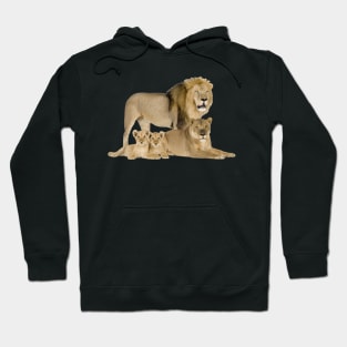 The Lion Family Hoodie